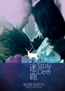 迷鹿