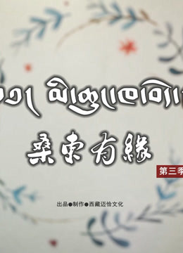 桑东有缘 第三季