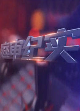 B科教庭审纪实