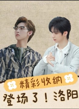 登场了！洛阳精彩收纳