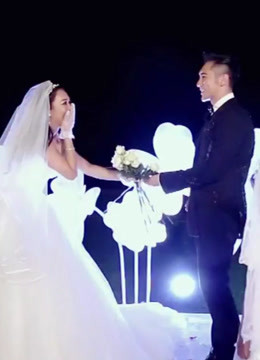 如果爱精彩内容