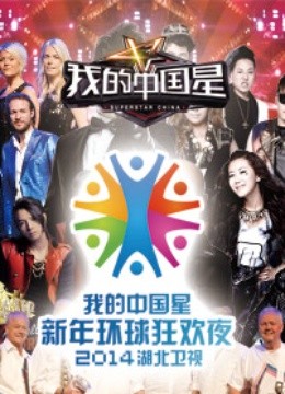 湖北2014跨年晚会