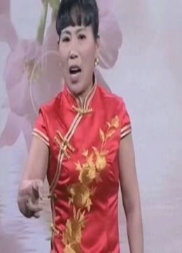 河南坠子刘公传奇3胡银花