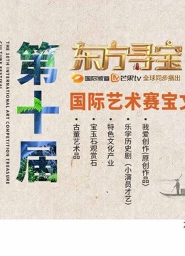 湖南国际频道东方寻宝第10届赛宝文化节