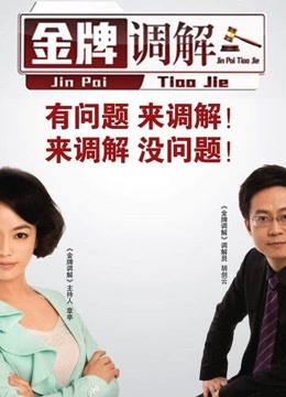 金牌调解:调解纠纷，化解矛盾