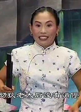 河南坠子刘公传奇6胡银花