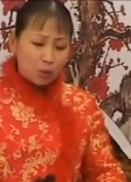 胡中花河南坠子西九成投亲 第四部