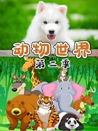 动物世界 第二季