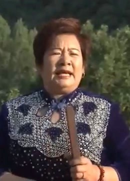 刘明霞河南坠子呼延庆打擂井照鑫一更秀