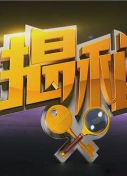 揭秘精彩片段