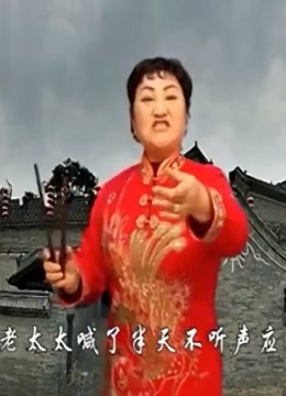 河南坠子贤孝儿媳李冬梅