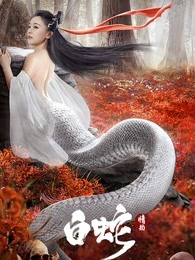 白蛇:情劫