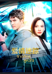 爱情迷踪