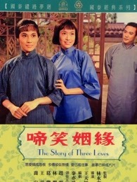 啼笑因緣 上