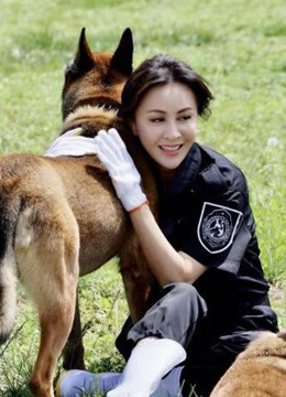 但愿人长久精彩片段
