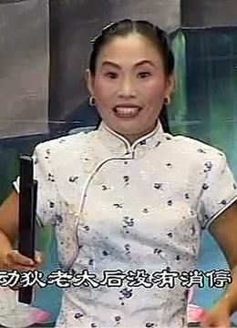 河南坠子刘公传奇4胡银花