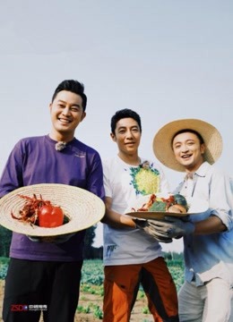 你好生活:的流量密码撒贝宁