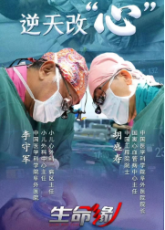 生命缘 第十二季