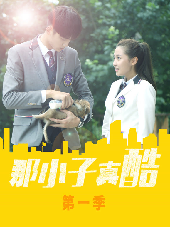 那小子真酷 第一季