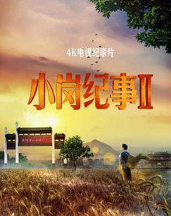 小岗纪事 第二季