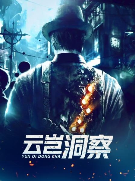 云岂洞察