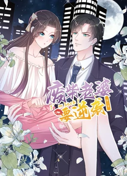 逆袭归来:我的废柴老婆 第三季